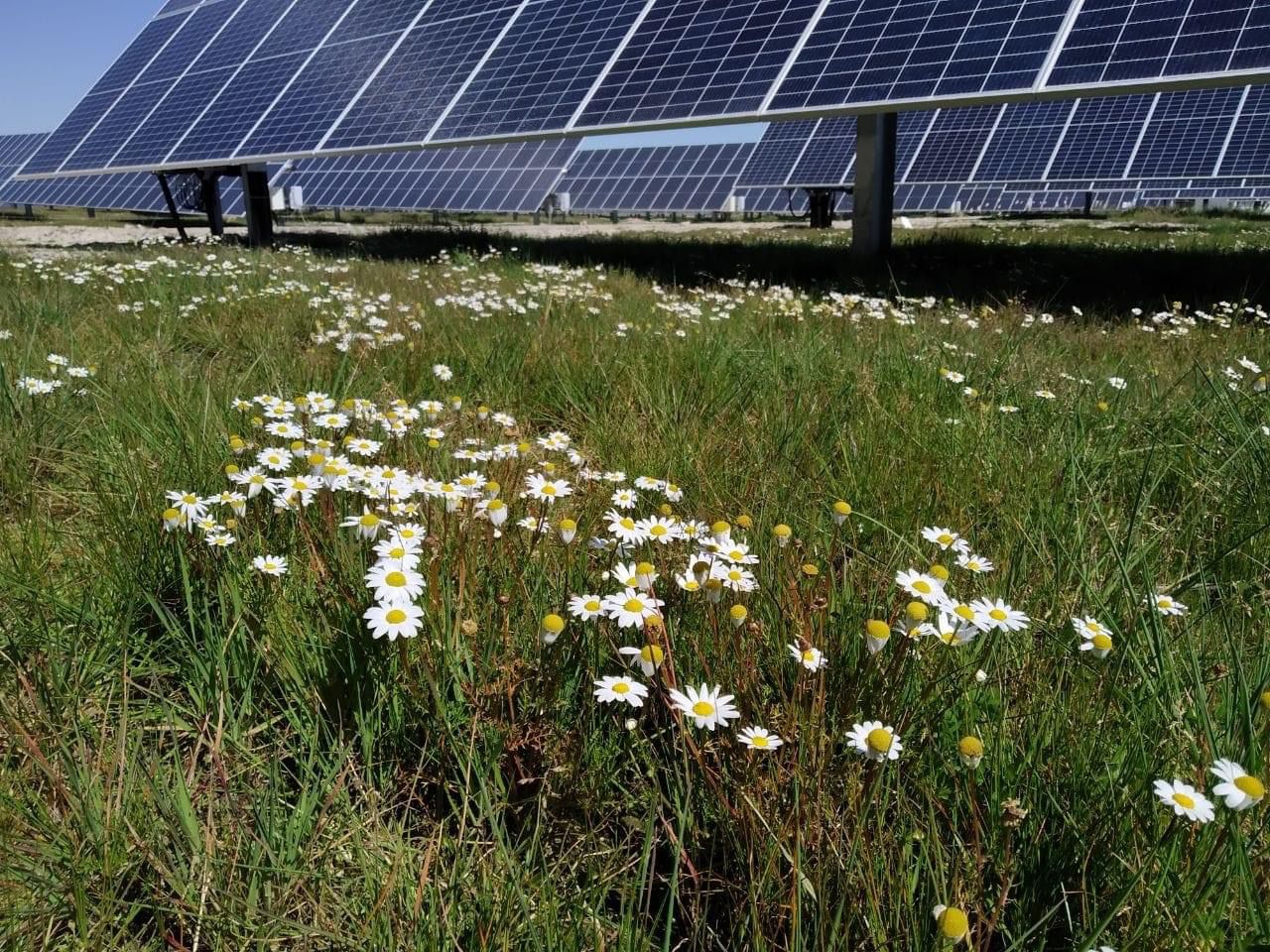 WhatsApp Image 2023-11-25 at 21.44.05