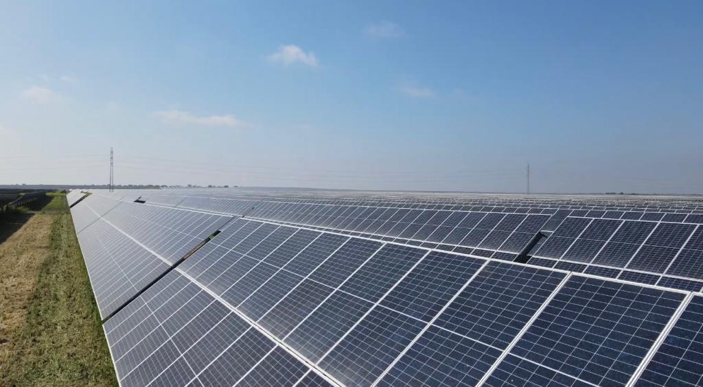 WhatsApp Image 2023-11-25 at 22.08.58