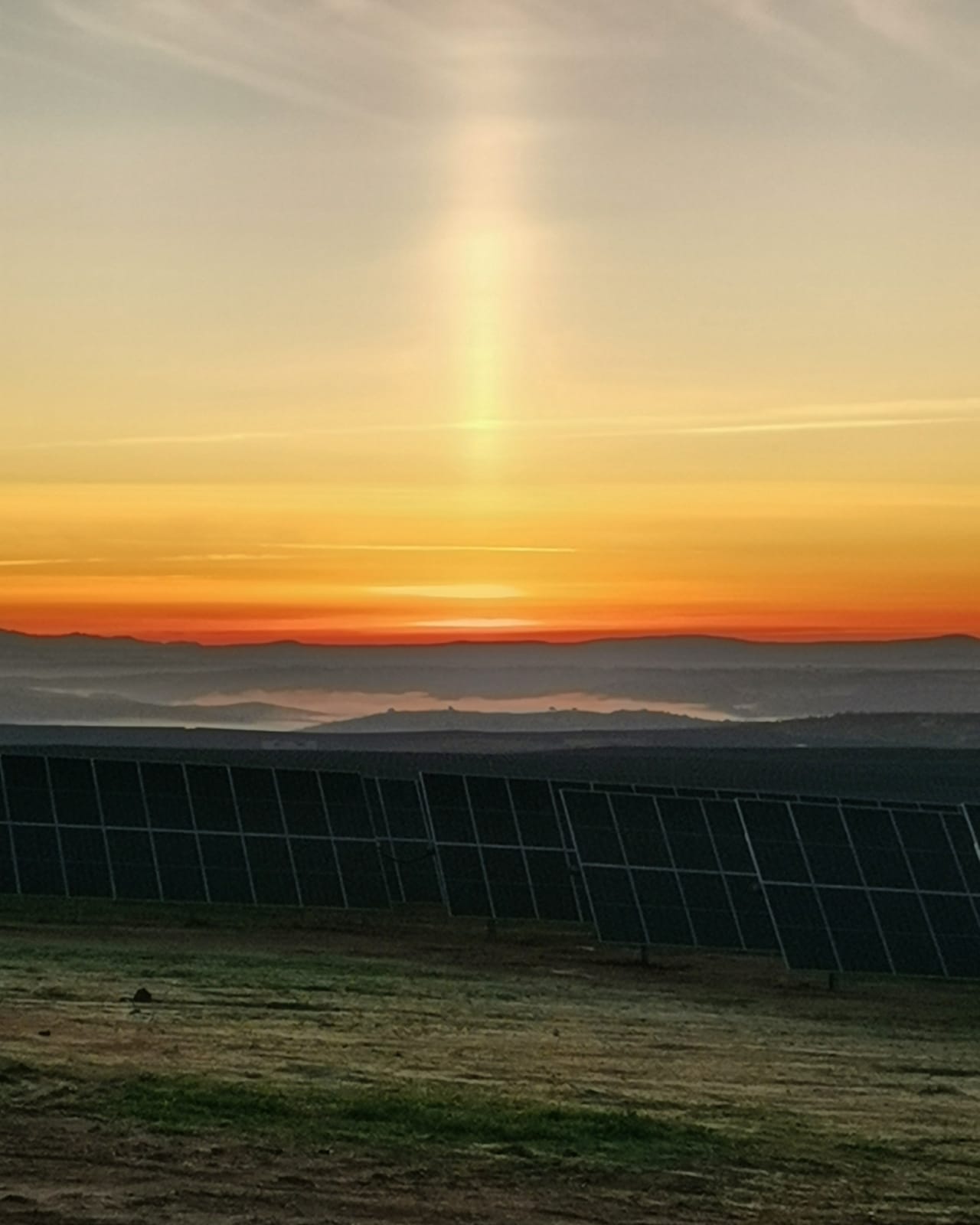 WhatsApp Image 2024-03-14 at 16.32.20