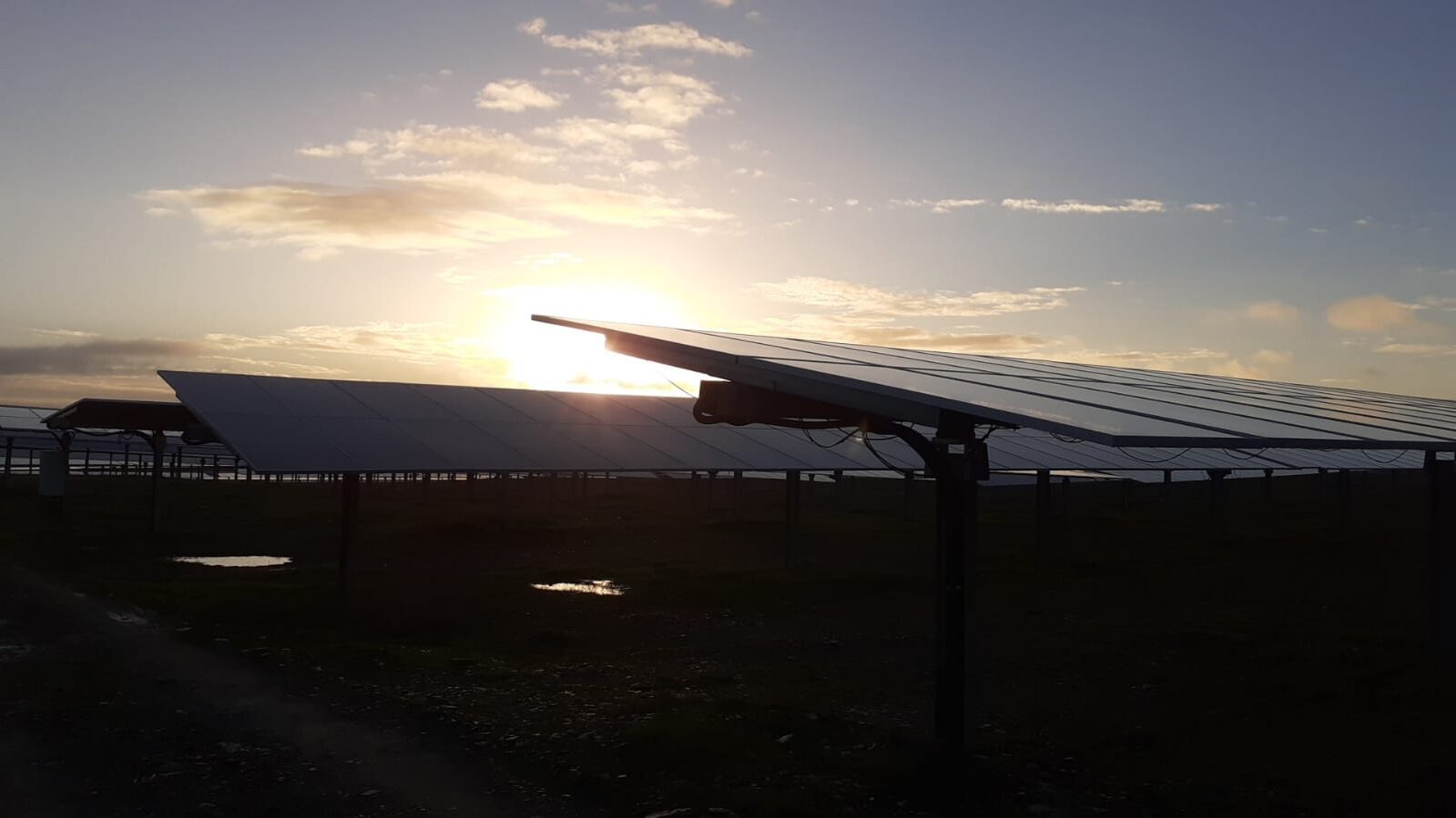 WhatsApp Image 2024-03-14 at 16.33.53