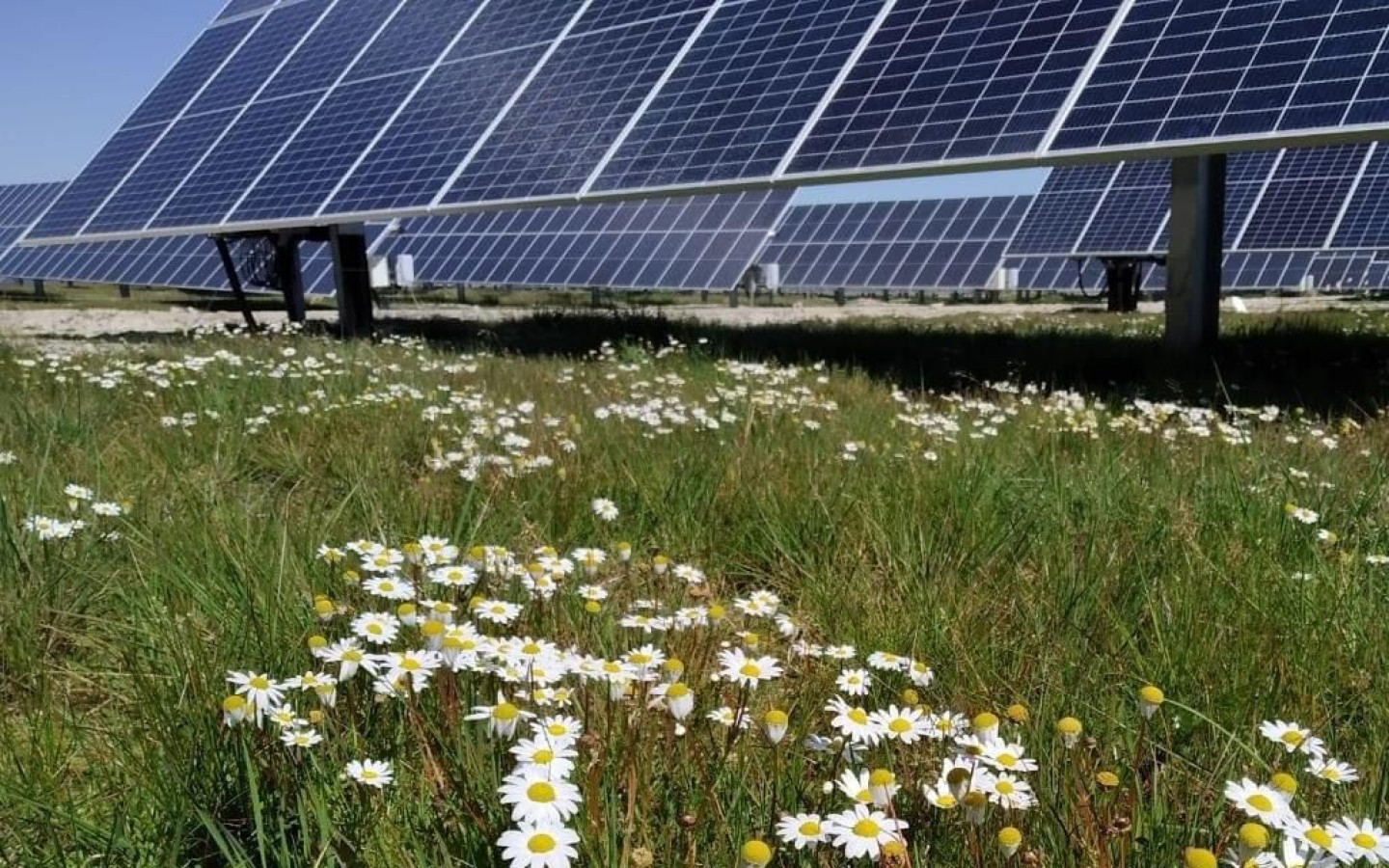 WhatsApp Image 2023-11-25 at 21.44.05