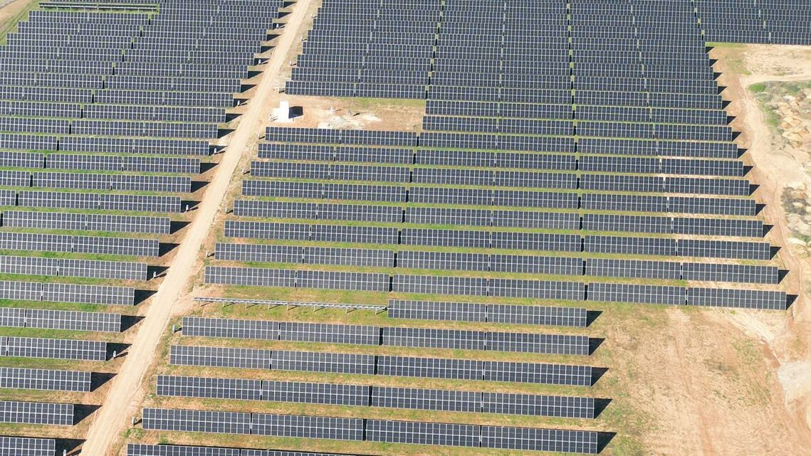 WhatsApp Image 2023-02-02 at 11.28.19 (1)