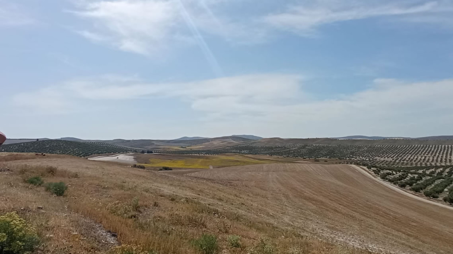 laTorreJaen