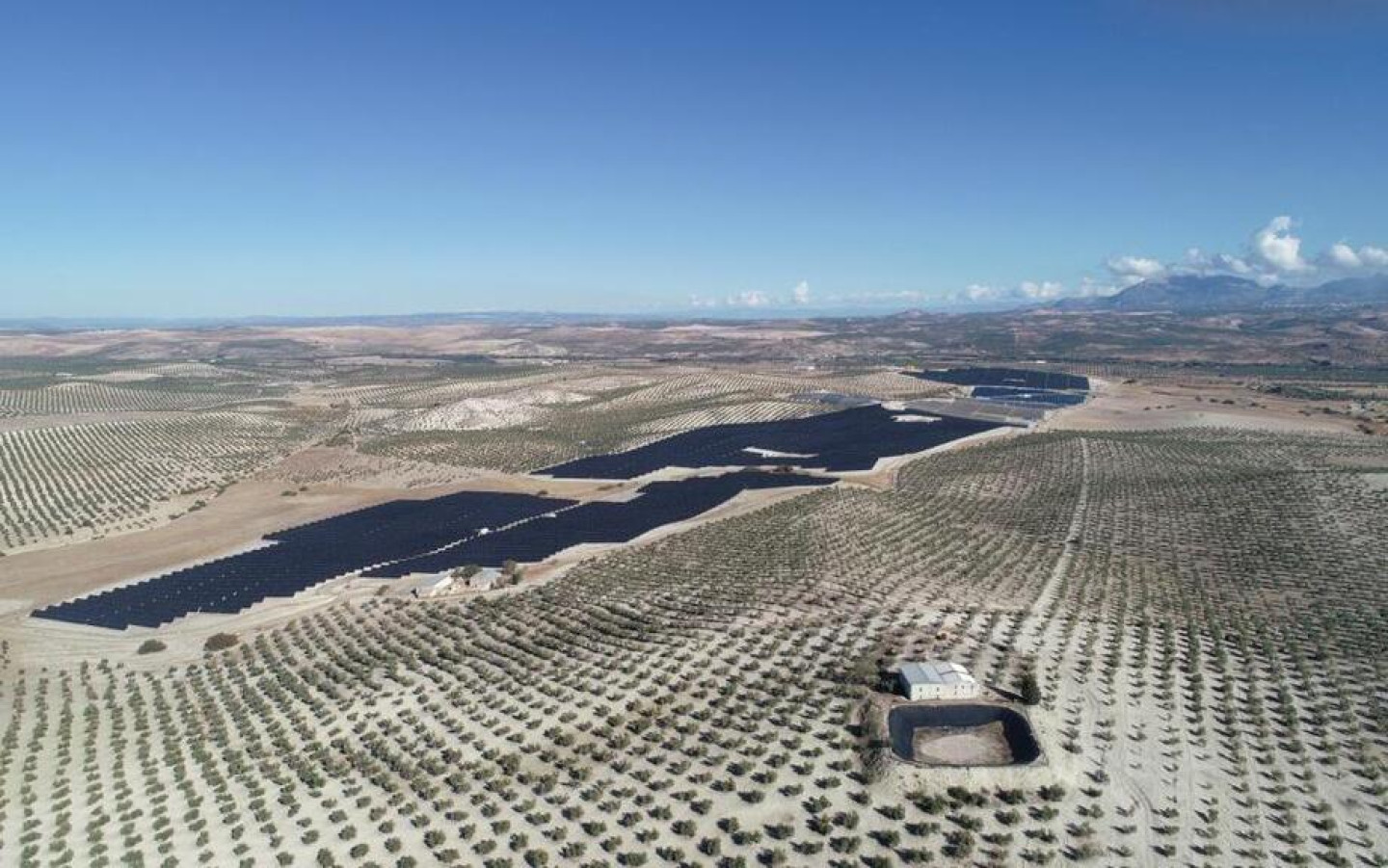 WhatsApp Image 2022-11-11 at 14.16.35 (1) (1)