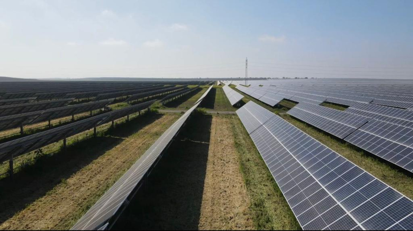 WhatsApp Image 2023-11-25 at 22.08.58 (2)